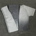 Ombre Energy Seamless Women Sport Suit