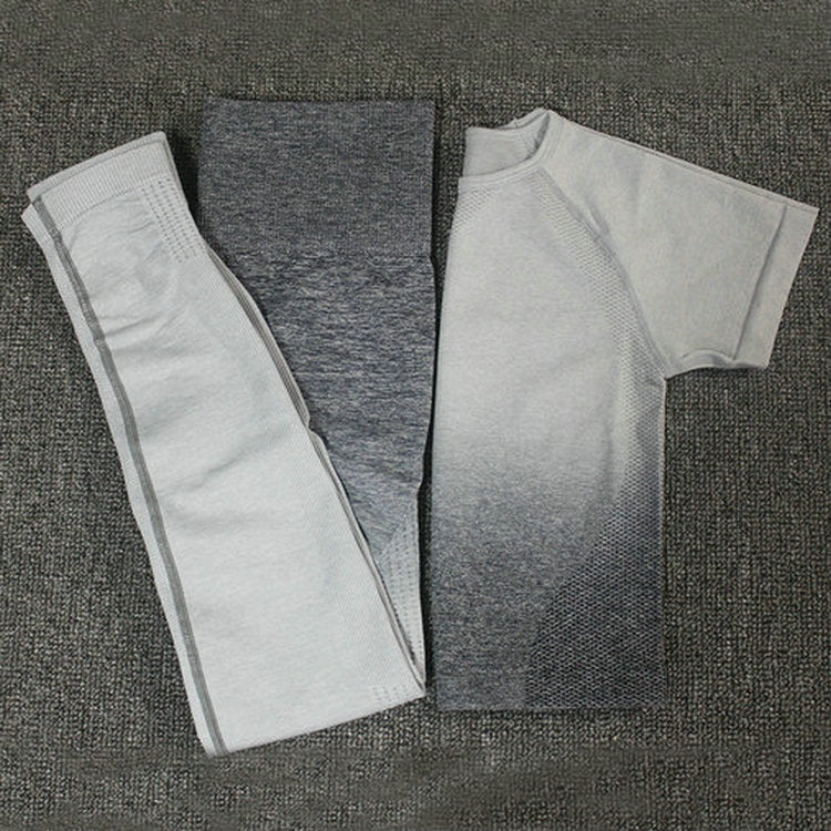 Ombre Energy Seamless Women Sport Suit
