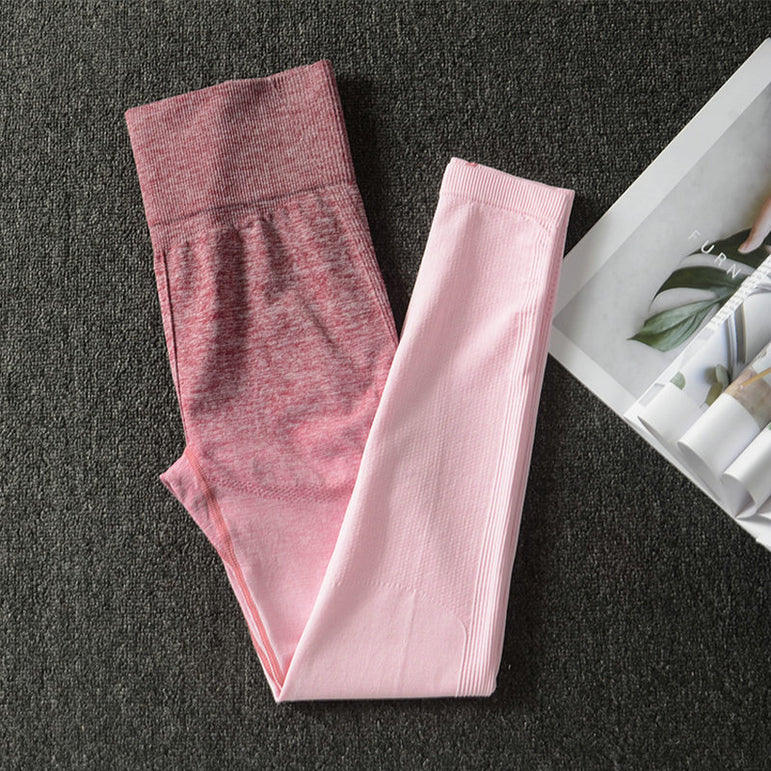 Ombre Energy Seamless Women Sport Suit