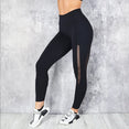 Shark Gym Women Yoga Sport Leggings