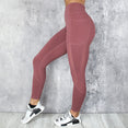 Shark Gym Women Yoga Sport Leggings