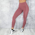 Shark Gym Women Yoga Sport Leggings