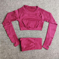 Seamless Yoga Sets High Waist Gym Suit