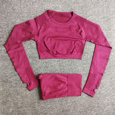 Seamless Yoga Sets High Waist Gym Suit