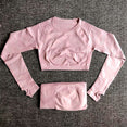 Seamless Yoga Sets High Waist Gym Suit
