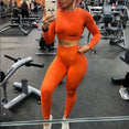 Seamless Yoga Sets High Waist Gym Suit