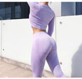 Seamless Gym Clothing Women Gym Yoga Set
