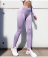 Seamless Gym Clothing Women Gym Yoga Set