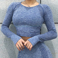 Seamless Gym Clothing Women Gym Yoga Set