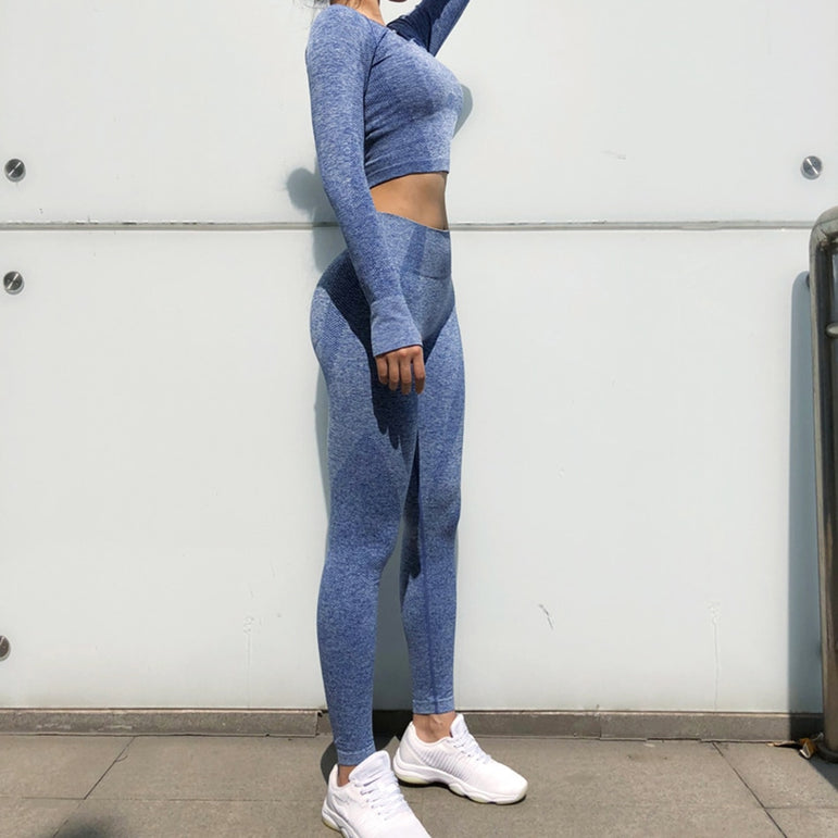 Seamless Gym Clothing Women Gym Yoga Set