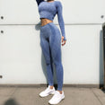 Seamless Gym Clothing Women Gym Yoga Set