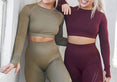 Ombre Seamless Women Sport Suit