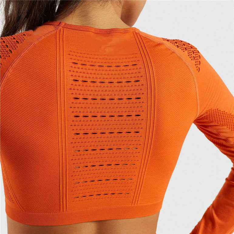 Ombre Seamless Women Sport Suit