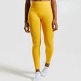 Ombre Seamless Women Sport Suit