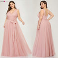 Plus Size A-Line V-Neck Tulle Elegant Dress
