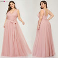 Plus Size A-Line V-Neck Tulle Elegant Dress