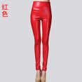 Autumn Winter Women Thin Velvet PU Leather Pants