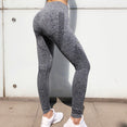Seamless Gym Clothing Women Gym Yoga Set