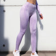 Seamless Gym Clothing Women Gym Yoga Set