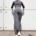 Seamless Gym Clothing Women Gym Yoga Set