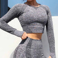 Seamless Gym Clothing Women Gym Yoga Set