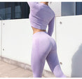 Seamless Gym Clothing Women Gym Yoga Set