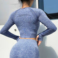 Seamless Gym Clothing Women Gym Yoga Set