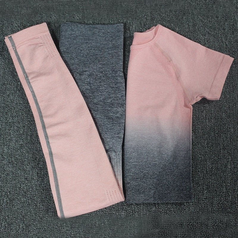 Ombre Energy Seamless Women Sport Suit