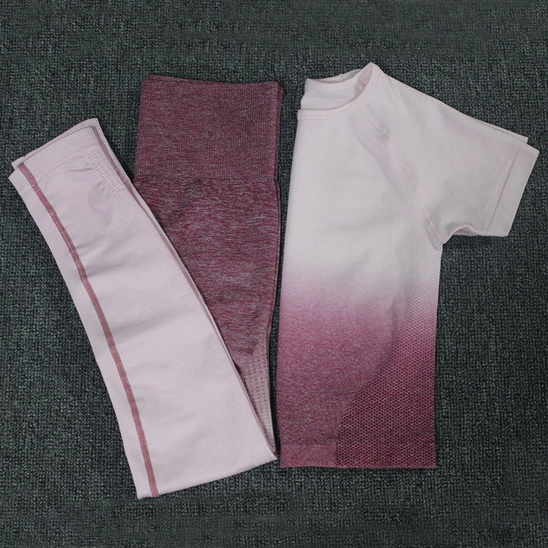 Ombre Energy Seamless Women Sport Suit
