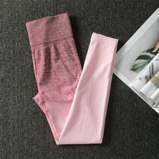 Ombre Energy Seamless Women Sport Suit