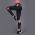 Fitness Gym Clothes Running Suit