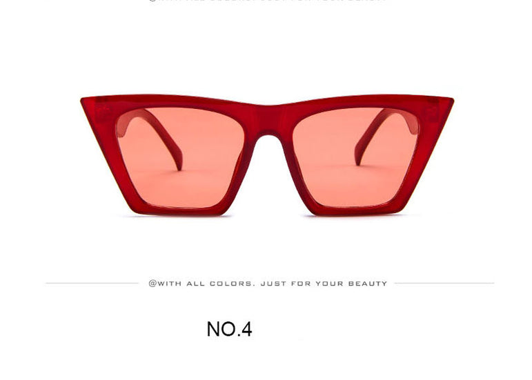 Plastic Vintage Luxury Sunglasses