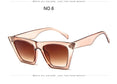 Plastic Vintage Luxury Sunglasses