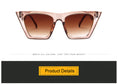 Plastic Vintage Luxury Sunglasses