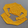 Ombre Seamless Women Sport Suit