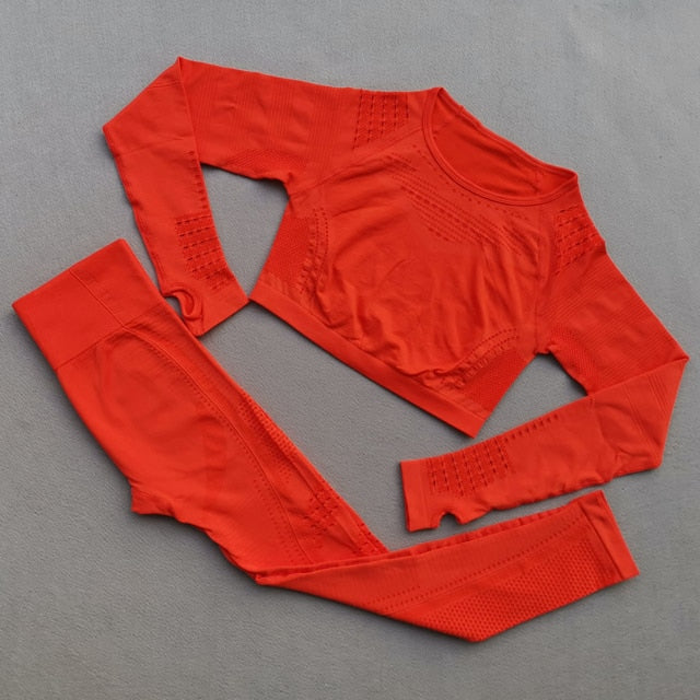 Ombre Seamless Women Sport Suit