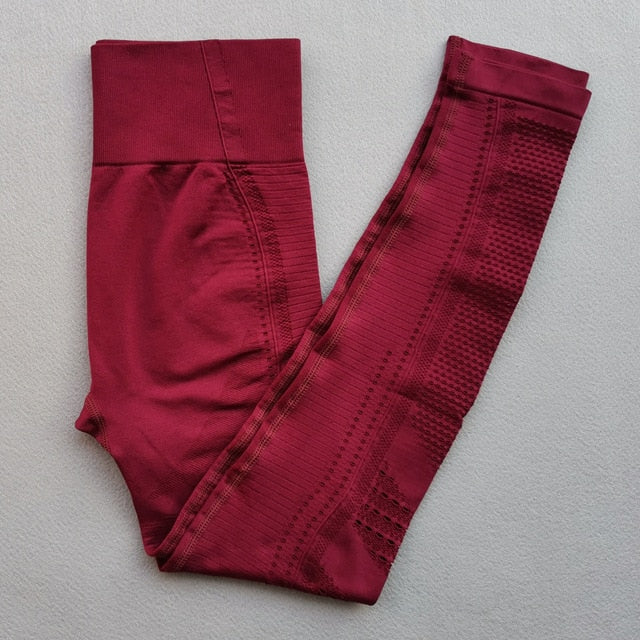 Ombre Seamless Women Sport Suit