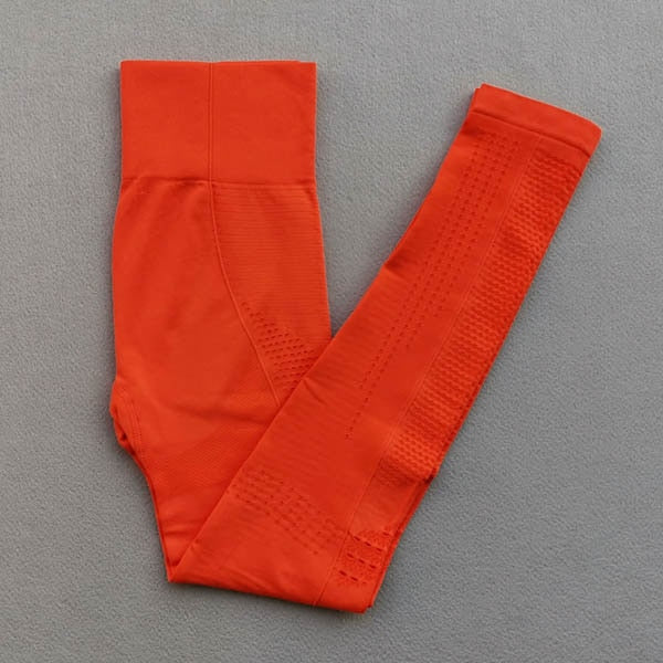 Ombre Seamless Women Sport Suit