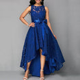 Vintage Sleeveless Lace Party Dress