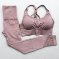 Yoga Set Seamless Fitness Suits