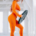 Seamless Yoga Sets High Waist Gym Suit