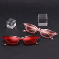 Vintage Women Retro Small Ladies Sunglasses